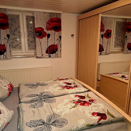 Ferienwohnung Im Erzgebirge نيوهاوسين المظهر الخارجي الصورة