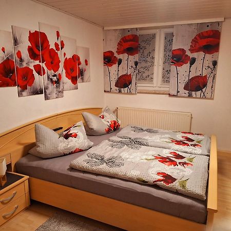 Ferienwohnung Im Erzgebirge نيوهاوسين المظهر الخارجي الصورة